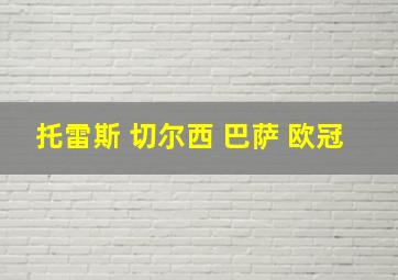 托雷斯 切尔西 巴萨 欧冠